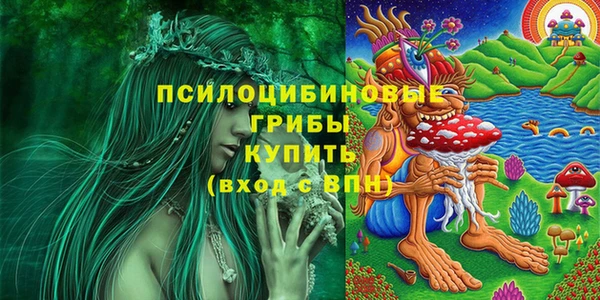 ECSTASY Алексеевка